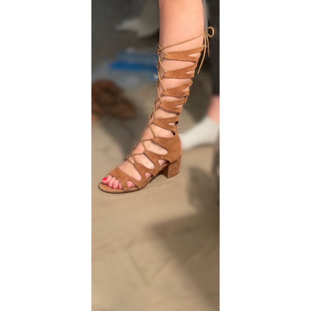 Steve Madden gladiator sandals